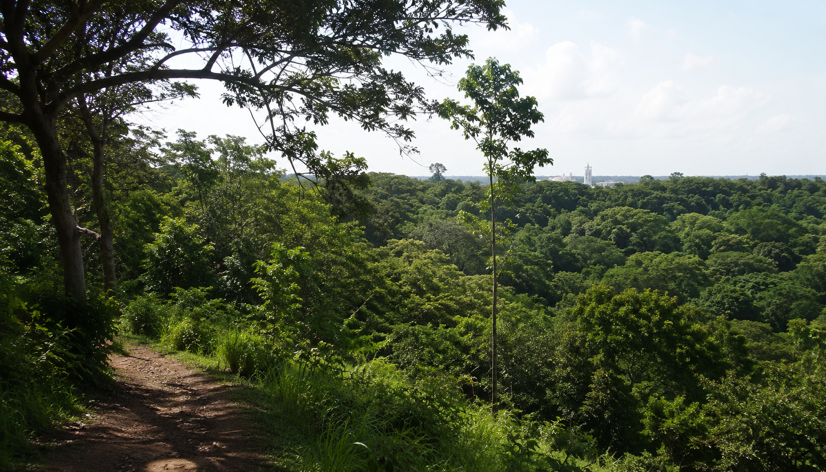 Achimota Forest