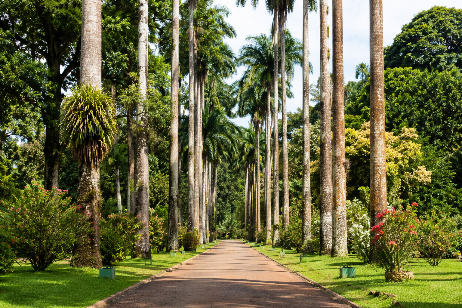 Aburi Botanical Gardens